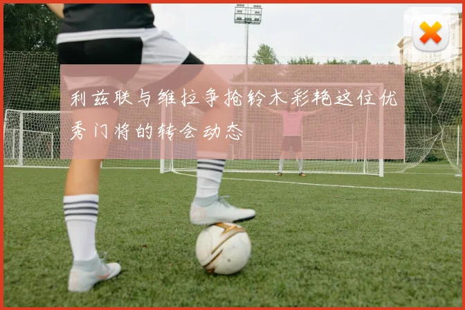 利兹联与维拉争抢铃木彩艳这位优秀门将的转会动态